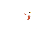 ThunderTigerMusic rainbow music group thunder tiger tiger music Sticker