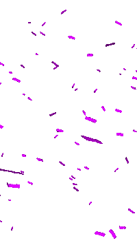 Carnaval Confetti Sticker by B on Stage
