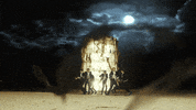 엔하이픈 GIF by ENHYPEN