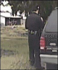 awesome whats GIF