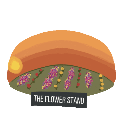 theflowerstand716 flowers sunflowers watering can 716 Sticker