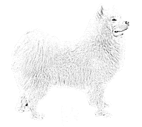 Sketch Stanley Sticker