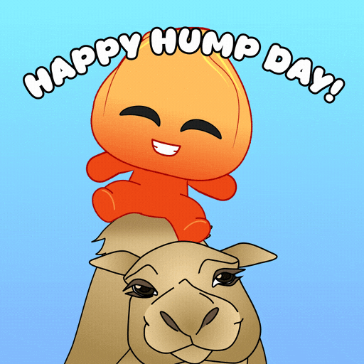 Wednesday Keep Smiling GIF by Playember