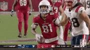 Arizona Cardinals Football GIF by NFL