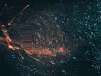 You Can Wow GIF by FranchiseONE.de