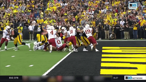 DBSports giphygifmaker GIF