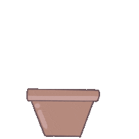 Plant Grow Sticker