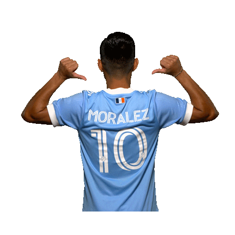 New York City Fc Reaction Sticker by NYCFC