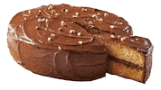 Chocolate Cake Sticker by Nocilla