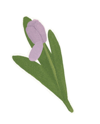 fond_vera цветы дети школа 1 сентября Sticker