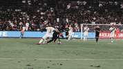 GIF by LAFC