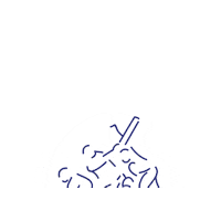 The Netherlands Logo Sticker by Voorburg Cricket Club