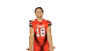 Utah Utes Sticker by Utah Football