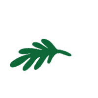 Summer Sticker by Camp La Llanada