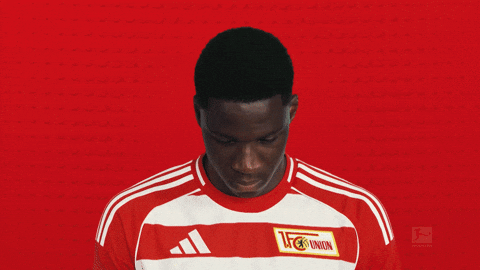 Union Berlin GIF by Bundesliga