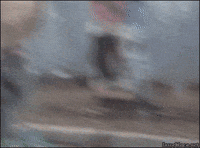 bike goat GIF