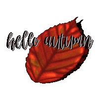 Fall Season Sticker