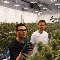Grow Growing Pains GIF by Exclusive Brands