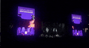 cmafest GIF by CMA Fest: The Music Event of Summer