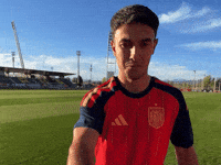 World Cup Spain GIF by adidas