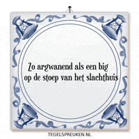 Humor Nl GIF by Tegelspreuken.nl