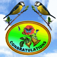 Well Done Congrats GIF