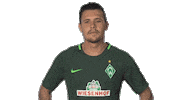 werder bremen football Sticker by Bundesliga