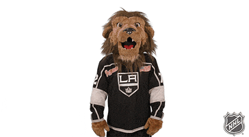 Ice Hockey Reaction GIF by NHL