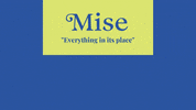 TheMiseMethod  GIF