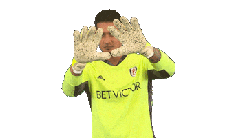 Celebrations Save Sticker by Fulham FC