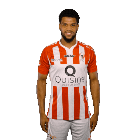 Van Love Sticker by TOP Oss