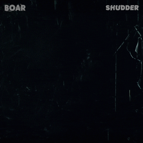 shudder horror scary australia pig GIF