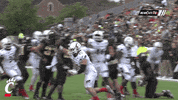 happy lets go GIF by University of Cincinnati Athletics