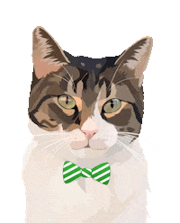 Cat Adopt Sticker by Watertown Humane Society