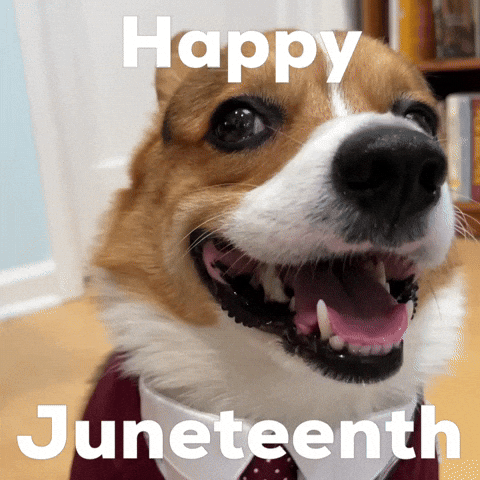 Happy Dog GIF