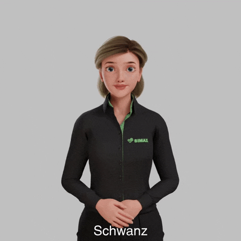 Avatar Gebärdensprache GIF by Sign Time - SiMAX