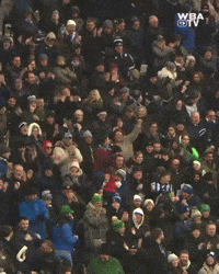 West Brom Wba GIF by West Bromwich Albion