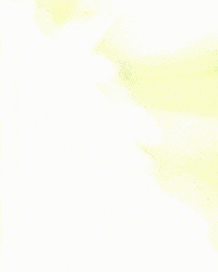 Banza GIF by Rexbet