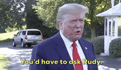 Donald Trump GIF