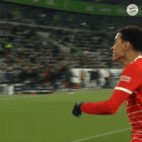 Happy Football GIF by FC Bayern Munich