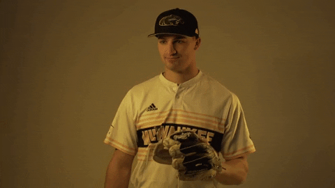 Mke GIF by Milwaukee Panthers