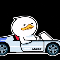 Crypto Cardano GIF by QUACKU