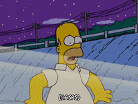 homer simpson GIF