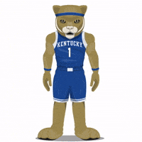 College Basketball Ncaa GIF by SportsManias