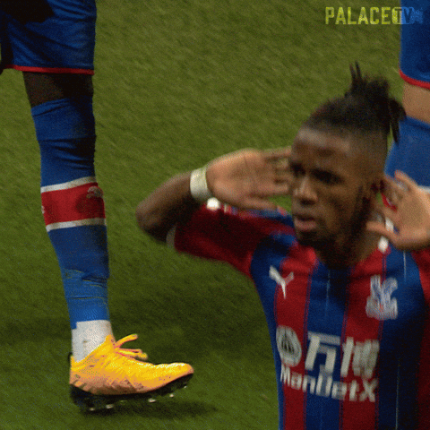 Premier League Sport GIF by Crystal Palace Football Club