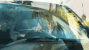 Tiktok GIF by Dempsey Hope