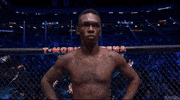 Mixed Martial Arts Sport GIF by UFC