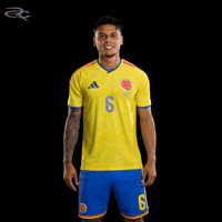 Fifa World Cup Colombia GIF by Respective