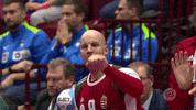 Ehfeuro GIF by EHF
