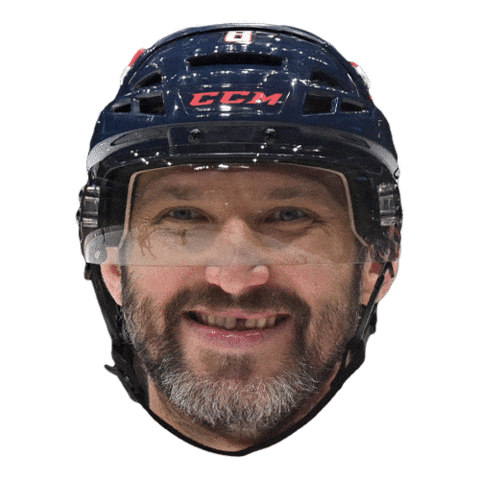 National Hockey League Smile Sticker by NHL